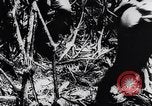 Immagine di Bombardieri giapponesi Darwin Australia, 1943, secondo 49 filmato di repertorio 65675030197
