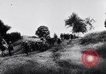 Immagine di Bombardieri giapponesi Darwin Australia, 1943, secondo 59 filmato di repertorio 65675030197