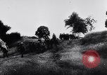 Immagine di Bombardieri giapponesi Darwin Australia, 1943, secondo 60 filmato di repertorio 65675030197