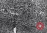 Immagine di Paracadutisti russo Mosca Russia Unione Sovietica, 1942, secondo 24 filmato di repertorio 65675030204