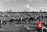 Standbild US Army training Manöver United States USA, 1942, aus Sekunde 50 historischem Filmmaterial Videoclip 65675030205