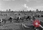 Standbild US Army training Manöver United States USA, 1942, aus Sekunde 51 historischem Filmmaterial Videoclip 65675030205