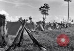 Standbild US Army training Manöver United States USA, 1942, aus Sekunde 58 historischem Filmmaterial Videoclip 65675030205