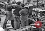 Immagine di Tesoro giapponese Giappone, 1945, secondo 27 filmato di repertorio 65675030209