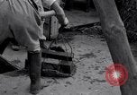 Image of gold and silver bars Japan, 1945, second 10 stock footage video 65675030210