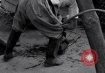 Image of gold and silver bars Japan, 1945, second 14 stock footage video 65675030210