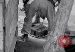 Image of gold and silver bars Japan, 1945, second 43 stock footage video 65675030210