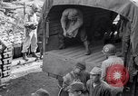 Image of gold and silver bars Japan, 1945, second 46 stock footage video 65675030211
