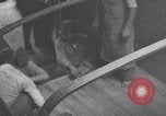 Image of Japanese treasure Tokyo Japan, 1945, second 17 stock footage video 65675030213