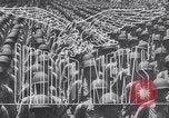 Image of execution of Nazi Spies and murderers Germany, 1945, second 14 stock footage video 65675030214