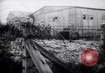 Image of execution of Nazi Spies and murderers Germany, 1945, second 37 stock footage video 65675030214