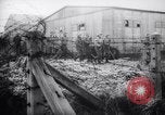 Image of execution of Nazi Spies and murderers Germany, 1945, second 39 stock footage video 65675030214