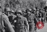 Image Reprise d'Oran par les alliés dans l'opération Torch Oran en Algérie, 1942, de la seconde 30 séquences d'archives historiques vidéo 65675030220