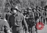 Image Reprise d'Oran par les alliés dans l'opération Torch Oran en Algérie, 1942, de la seconde 31 séquences d'archives historiques vidéo 65675030220