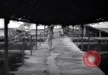 Immagine di Identificazione del prigioniero Devil's Island Guiana francese, 1939, secondo 61 filmato di repertorio 65675030230