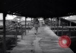 Immagine di Identificazione del prigioniero Devil's Island Guiana francese, 1939, secondo 62 filmato di repertorio 65675030230