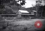 Immagine di Lavoro nelle prigioni Devil's Island Guiana francese, 1939, secondo 3 filmato di repertorio 65675030232