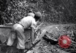 Immagine di Lavoro nelle prigioni Devil's Island Guiana francese, 1939, secondo 22 filmato di repertorio 65675030232