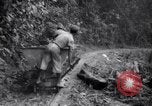 Immagine di Lavoro nelle prigioni Devil's Island Guiana francese, 1939, secondo 23 filmato di repertorio 65675030232