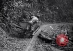 Immagine di Lavoro nelle prigioni Devil's Island Guiana francese, 1939, secondo 24 filmato di repertorio 65675030232