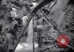 Immagine di Lavoro nelle prigioni Devil's Island Guiana francese, 1939, secondo 44 filmato di repertorio 65675030232