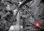 Immagine di Lavoro nelle prigioni Devil's Island Guiana francese, 1939, secondo 45 filmato di repertorio 65675030232