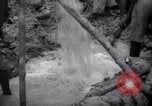 Immagine di Lavoro nelle prigioni Devil's Island Guiana francese, 1939, secondo 47 filmato di repertorio 65675030232