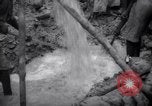 Immagine di Lavoro nelle prigioni Devil's Island Guiana francese, 1939, secondo 48 filmato di repertorio 65675030232