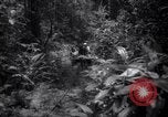 Image of lumbering operations Devil's Island French Guiana, 1939, second 4 stock footage video 65675030233