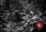 Image of lumbering operations Devil's Island French Guiana, 1939, second 7 stock footage video 65675030233
