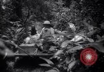 Image of lumbering operations Devil's Island French Guiana, 1939, second 9 stock footage video 65675030233