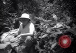 Image of lumbering operations Devil's Island French Guiana, 1939, second 10 stock footage video 65675030233