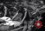Image of lumbering operations Devil's Island French Guiana, 1939, second 11 stock footage video 65675030233