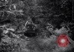 Image of lumbering operations Devil's Island French Guiana, 1939, second 16 stock footage video 65675030233