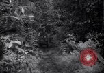 Image of lumbering operations Devil's Island French Guiana, 1939, second 17 stock footage video 65675030233