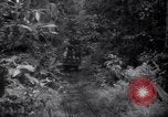 Image of lumbering operations Devil's Island French Guiana, 1939, second 18 stock footage video 65675030233