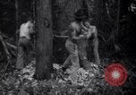 Image of lumbering operations Devil's Island French Guiana, 1939, second 28 stock footage video 65675030233