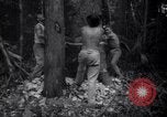 Image of lumbering operations Devil's Island French Guiana, 1939, second 29 stock footage video 65675030233