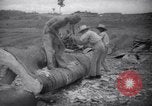 Image of lumbering operations Devil's Island French Guiana, 1939, second 32 stock footage video 65675030233