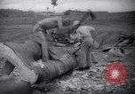 Image of lumbering operations Devil's Island French Guiana, 1939, second 33 stock footage video 65675030233