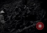 Image of lumbering operations Devil's Island French Guiana, 1939, second 36 stock footage video 65675030233