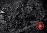 Image of lumbering operations Devil's Island French Guiana, 1939, second 37 stock footage video 65675030233