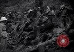 Image of lumbering operations Devil's Island French Guiana, 1939, second 38 stock footage video 65675030233