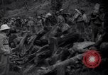 Image of lumbering operations Devil's Island French Guiana, 1939, second 39 stock footage video 65675030233