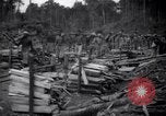 Image of lumbering operations Devil's Island French Guiana, 1939, second 40 stock footage video 65675030233