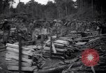 Image of lumbering operations Devil's Island French Guiana, 1939, second 41 stock footage video 65675030233