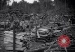 Image of lumbering operations Devil's Island French Guiana, 1939, second 43 stock footage video 65675030233