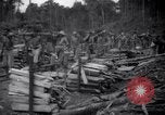 Image of lumbering operations Devil's Island French Guiana, 1939, second 44 stock footage video 65675030233