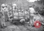 Image of lumbering operations Devil's Island French Guiana, 1939, second 45 stock footage video 65675030233