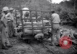 Image of lumbering operations Devil's Island French Guiana, 1939, second 46 stock footage video 65675030233